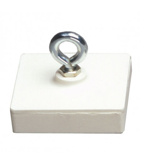 Aimant carré - 58 x 58 mm