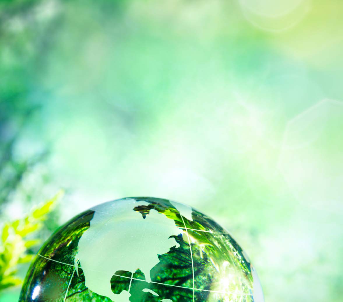 Feuilles d'arbre formant la planète Terre sur fond bleu