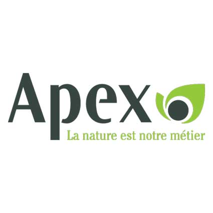 Logotype Apex