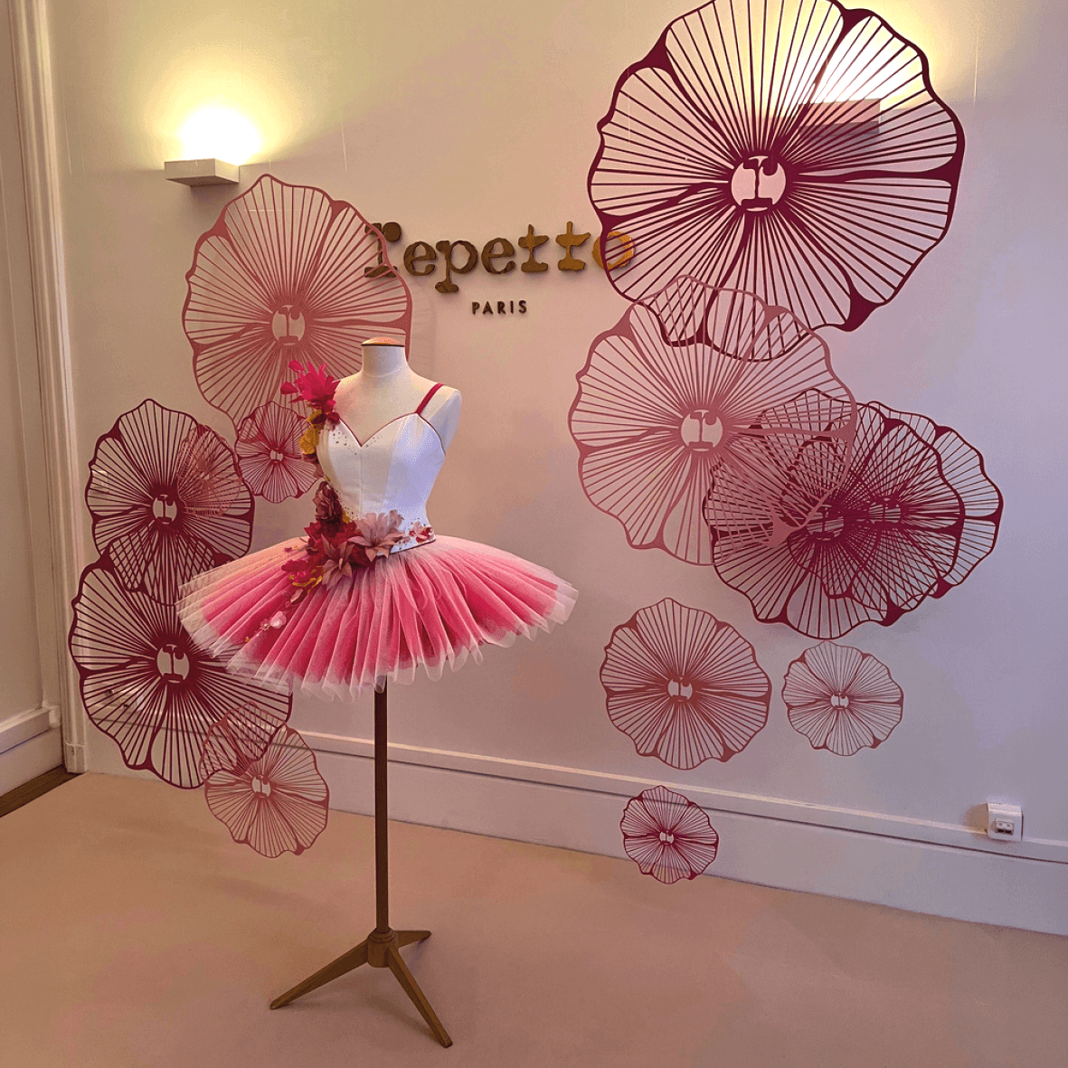 discover-project-