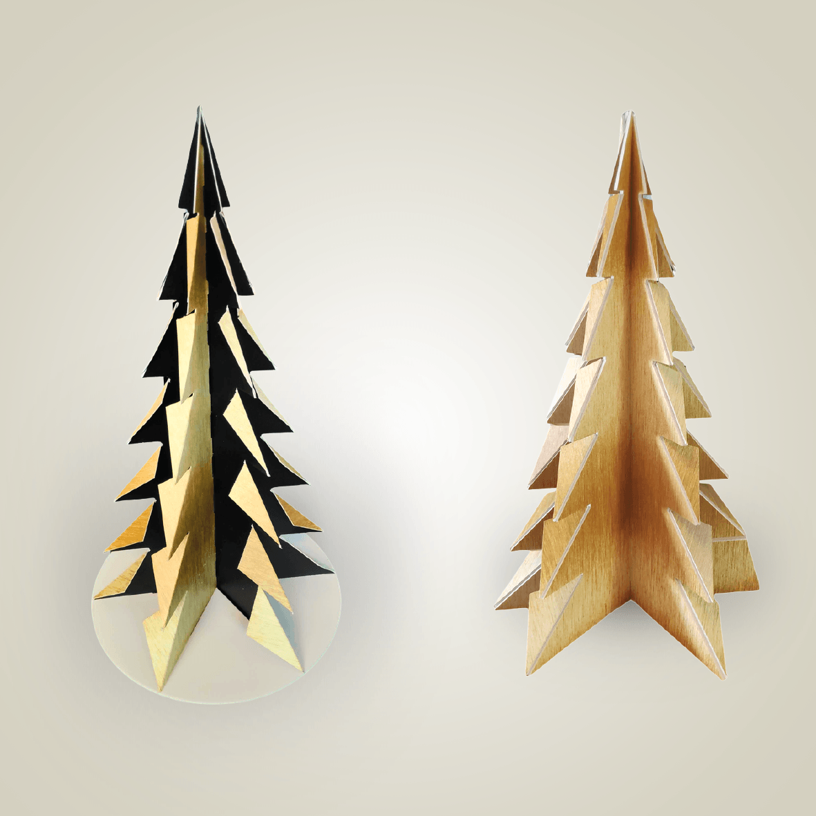 discover-project-